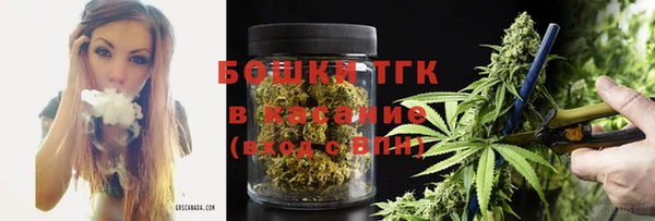 МДПВ Карпинск
