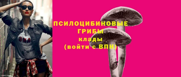 марки nbome Каменка