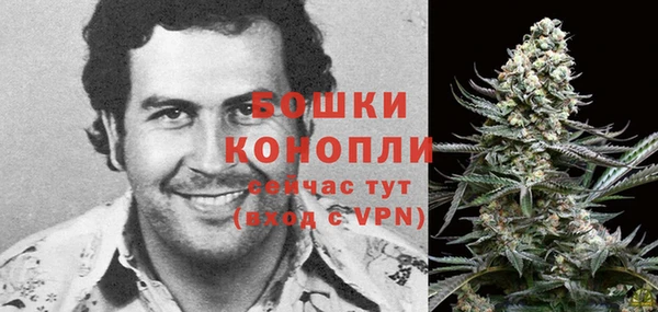 МДПВ Карпинск