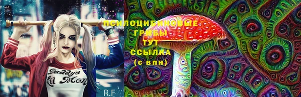 марки nbome Каменка