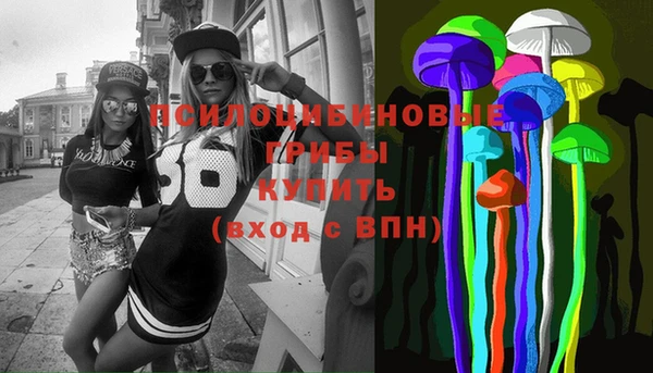 spice Карталы