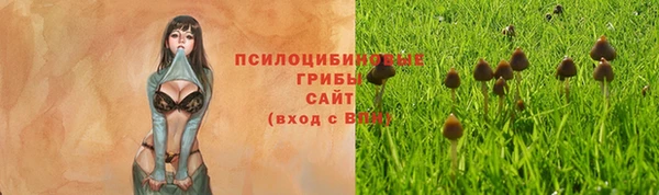 марки nbome Каменка