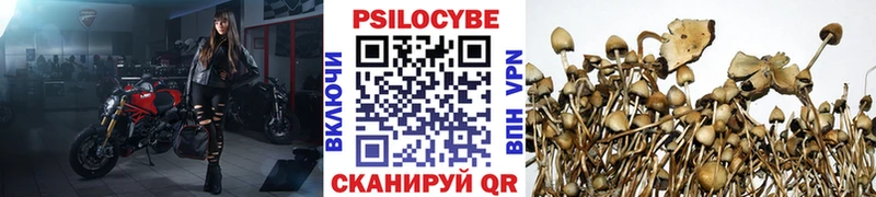 Галлюциногенные грибы мицелий  Купить  Арамиль 